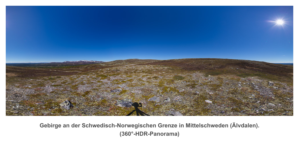 Gebirge an der Schwedisch-Norwegischen Grenze in Mittelschweden (Älvdalen). (360°-HDR-Panorama)